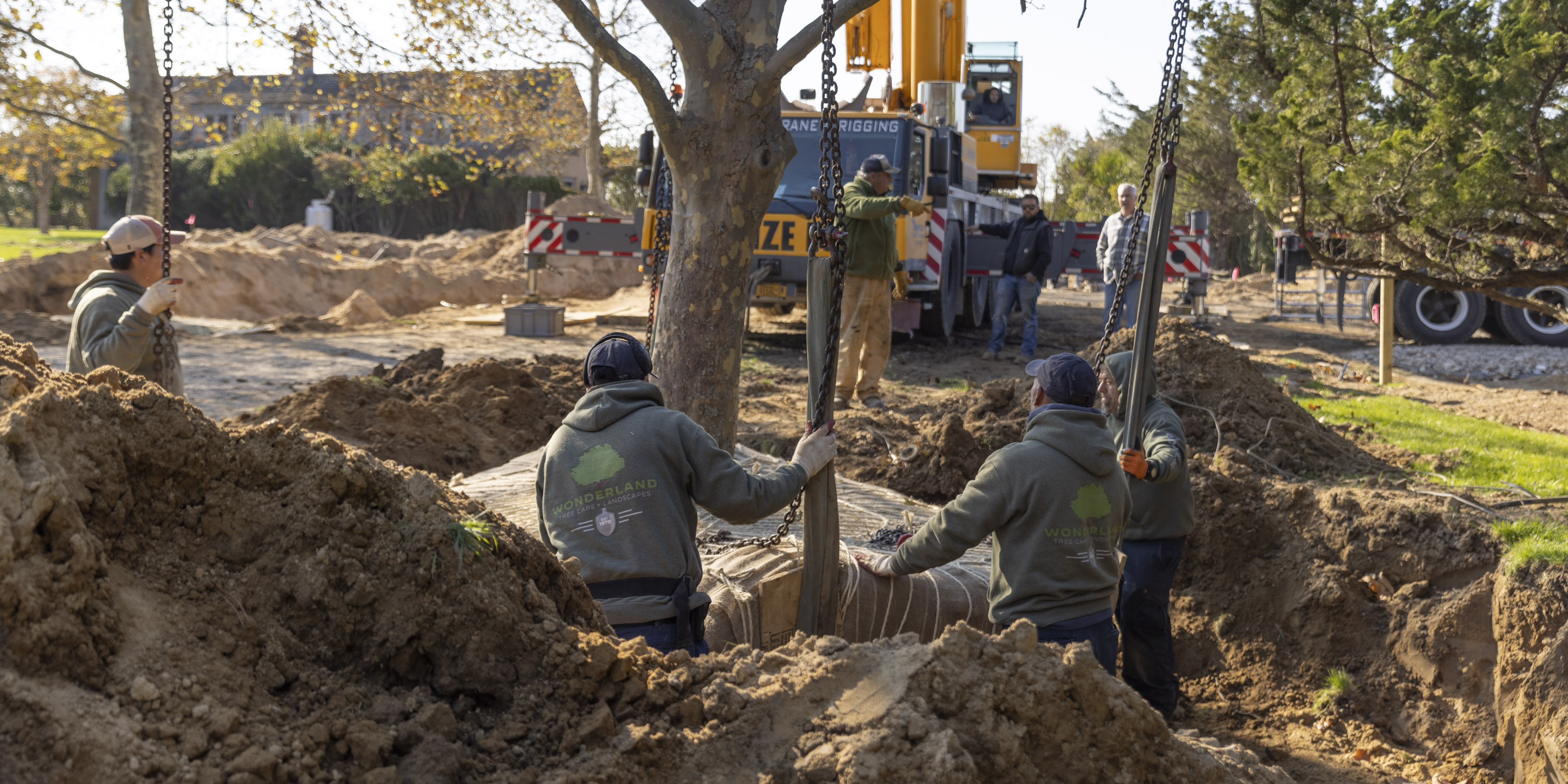 landscaping by Wonderland Tree Care